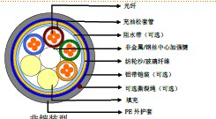 ���ײ��ʽ����